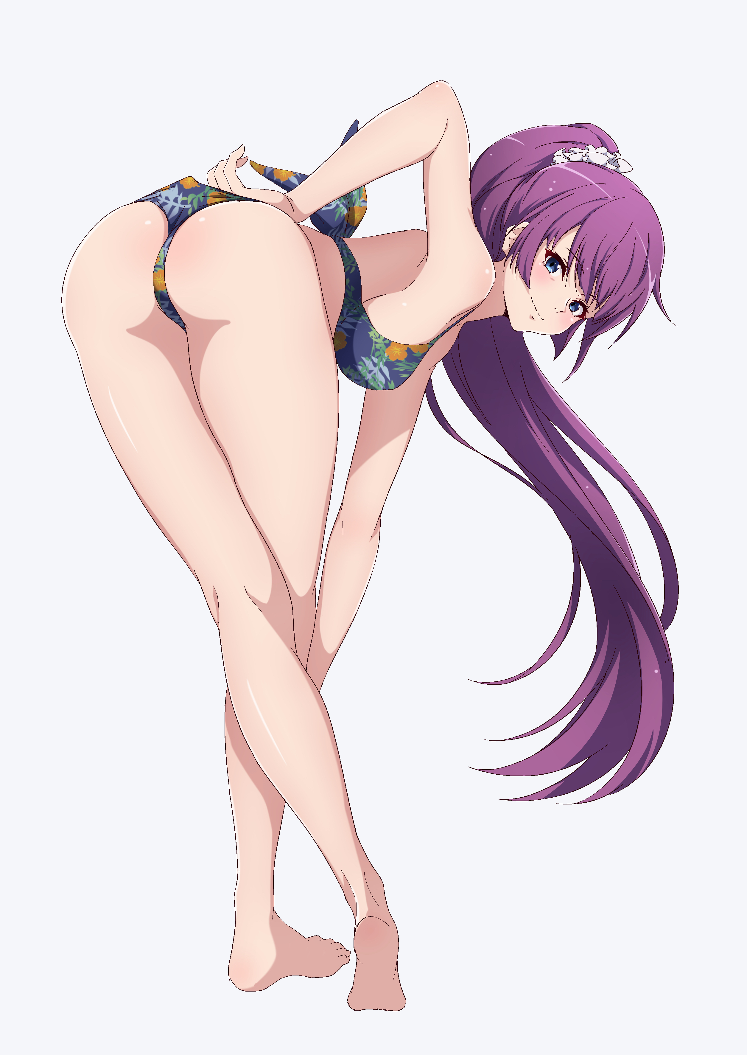 Hitagi Senjougahara [Monogatari Series] - Monogatari Series