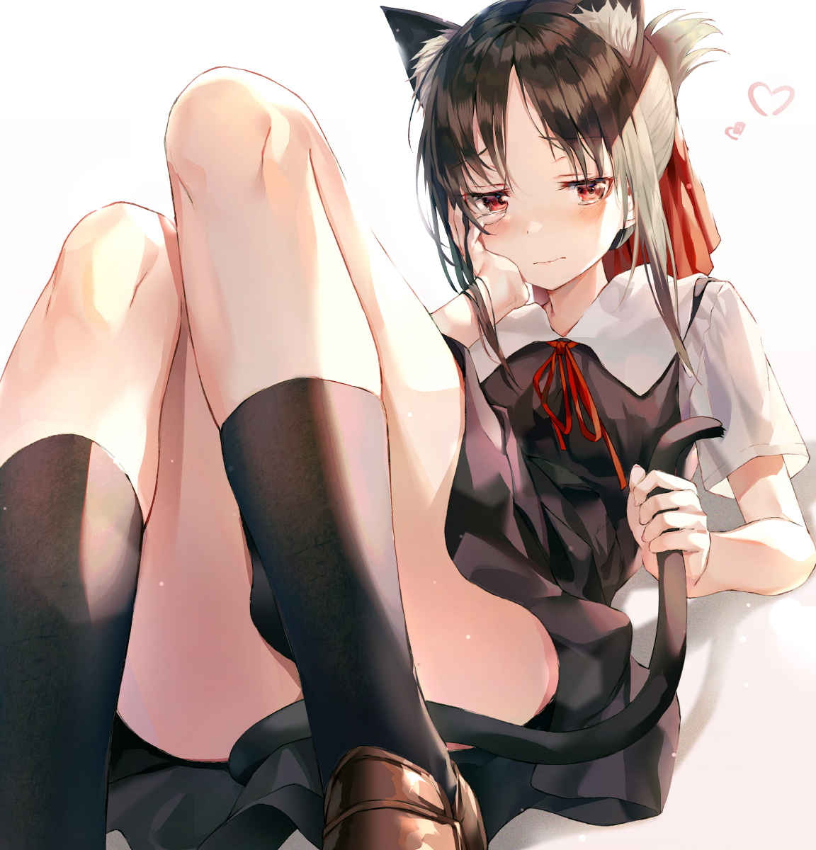 Neko Kaguya [Love is War] - Love is War