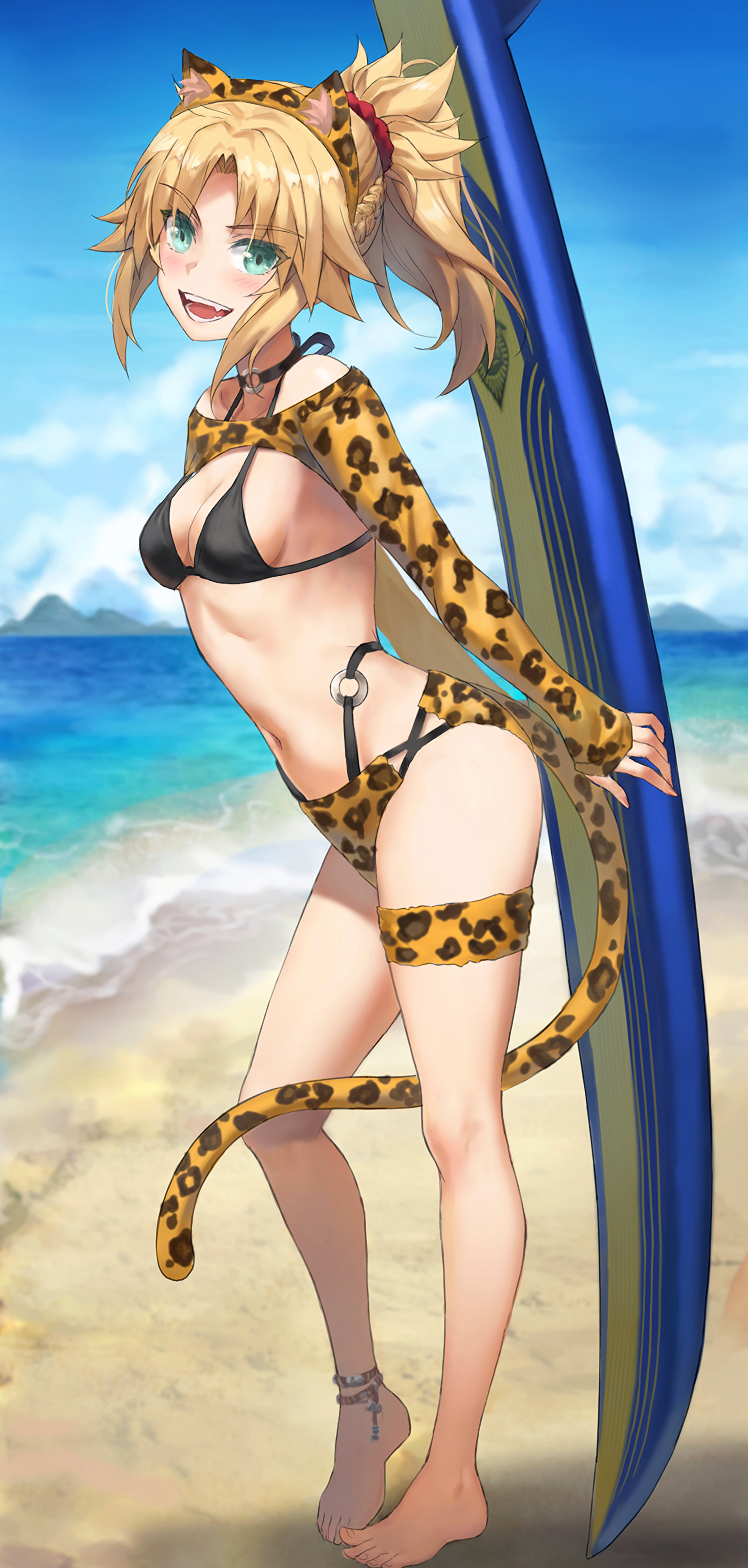 Surfer Mordred [Fate] - Fate