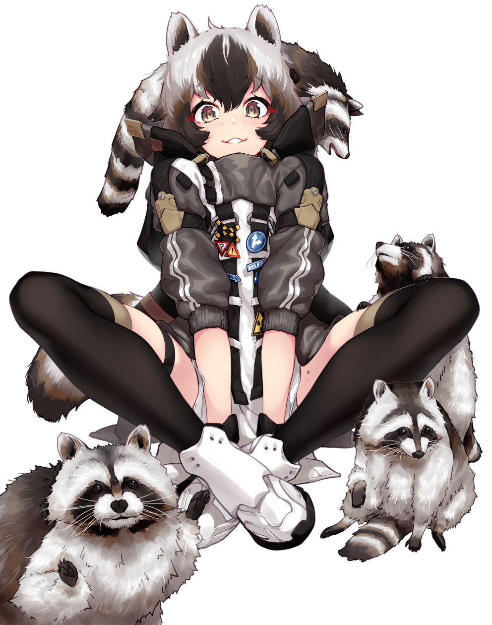 Raccoon [Original] - Original