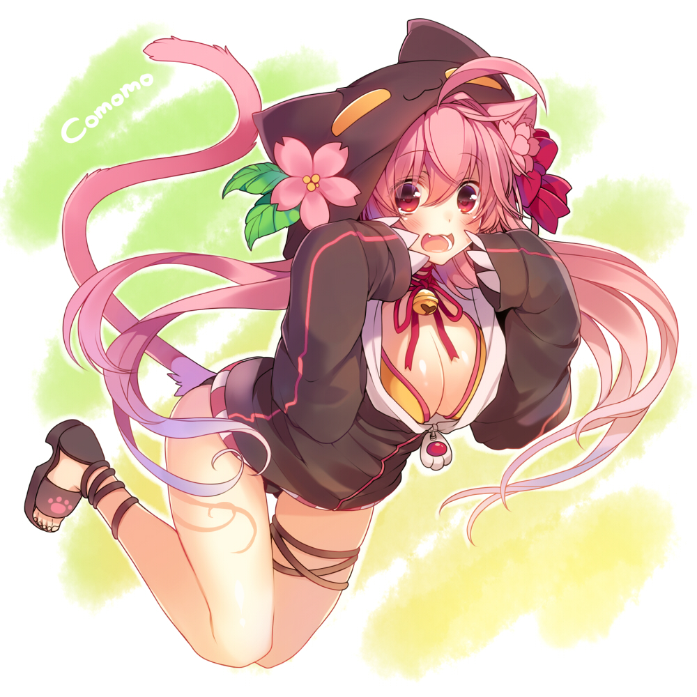 Cat Coat Comomo [Original] - Original