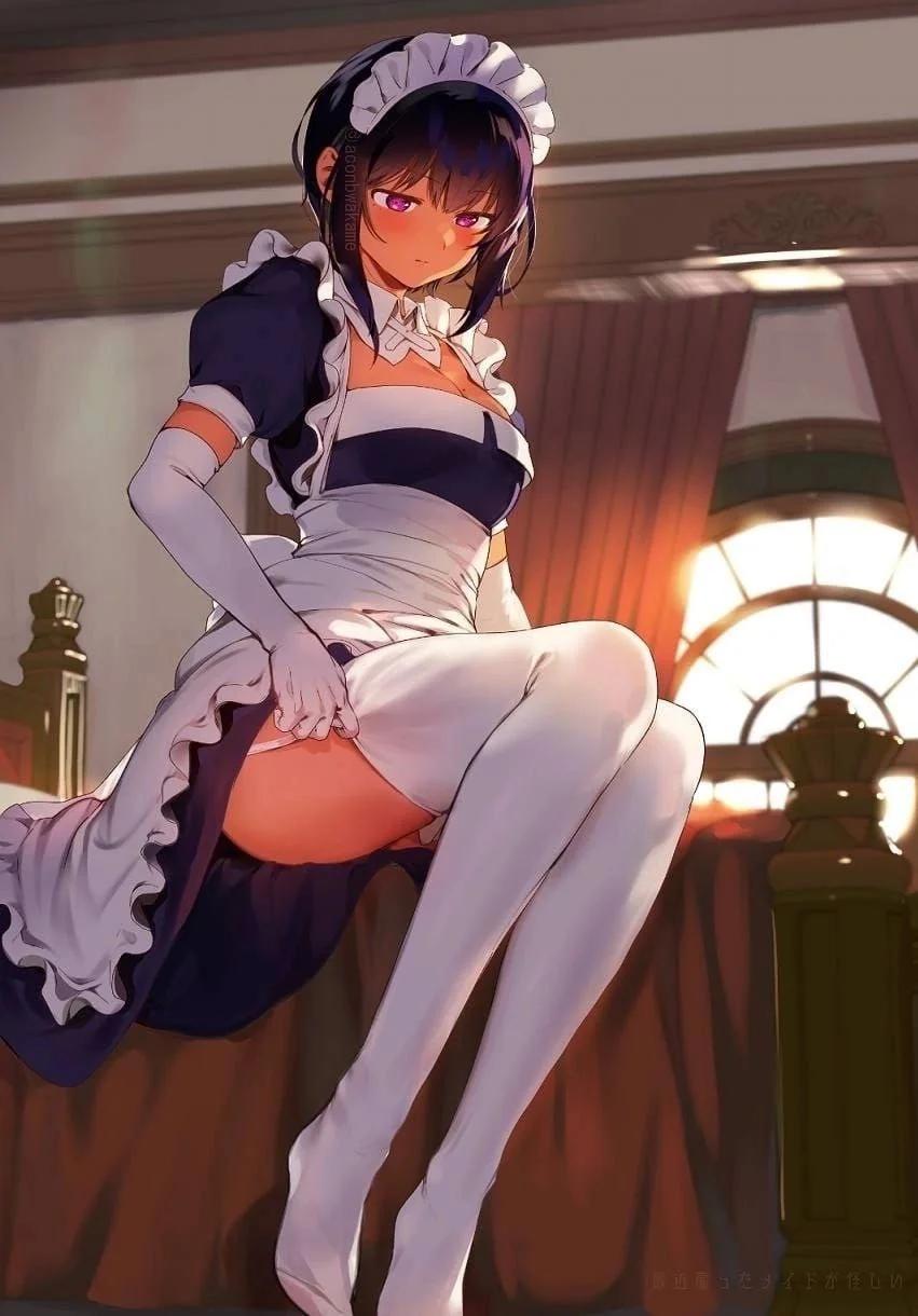 Lilith [Saikin Yatotta Maid Ga Ayashii] - Saikin Yatotta Maid Ga Ayashii