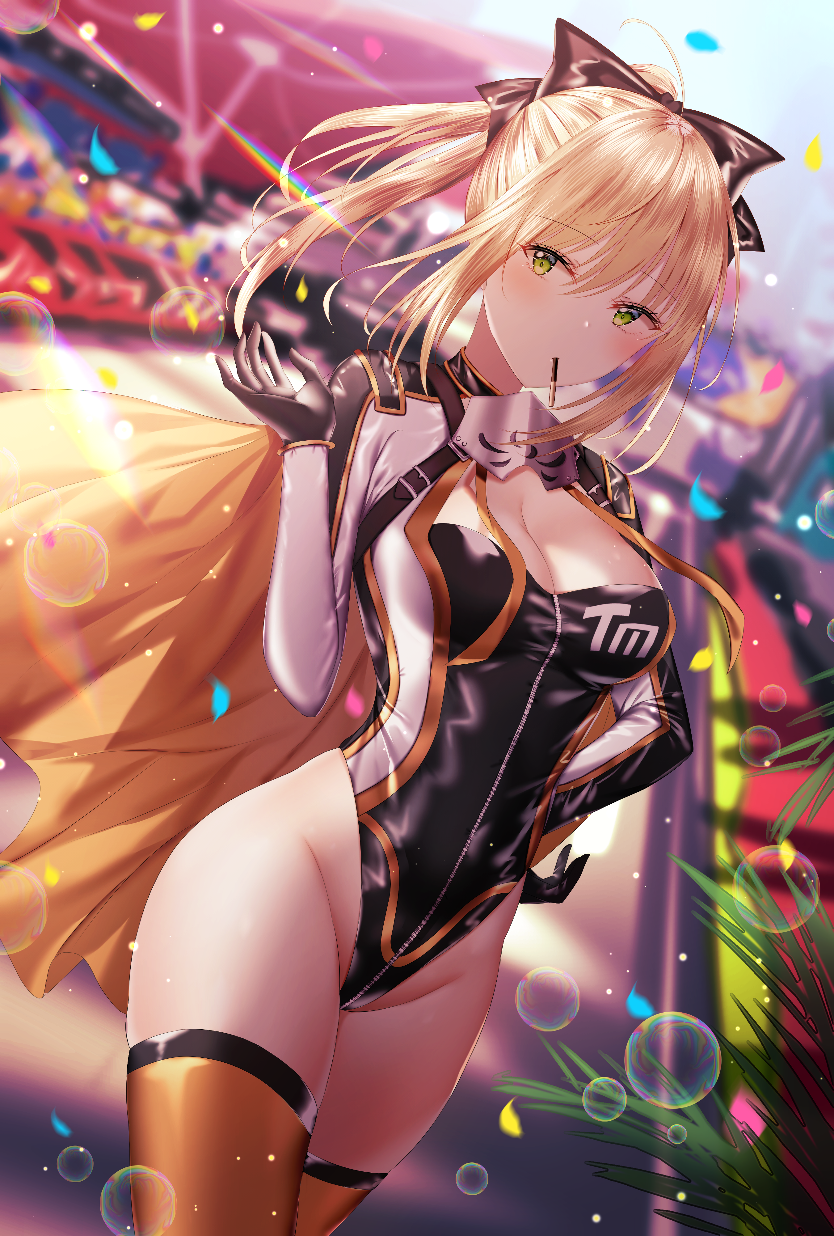 Leotard [FGO] - FGO