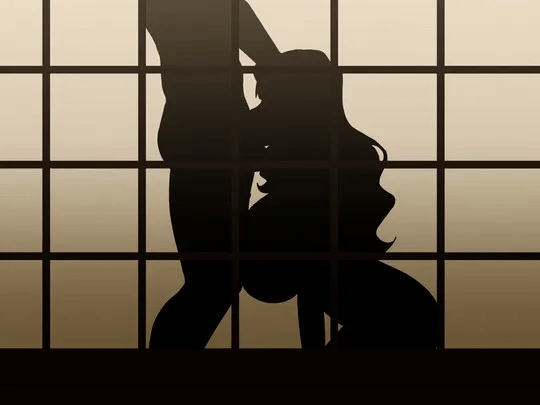 Silhouette Blowjob (OralHentai Anime GIF)